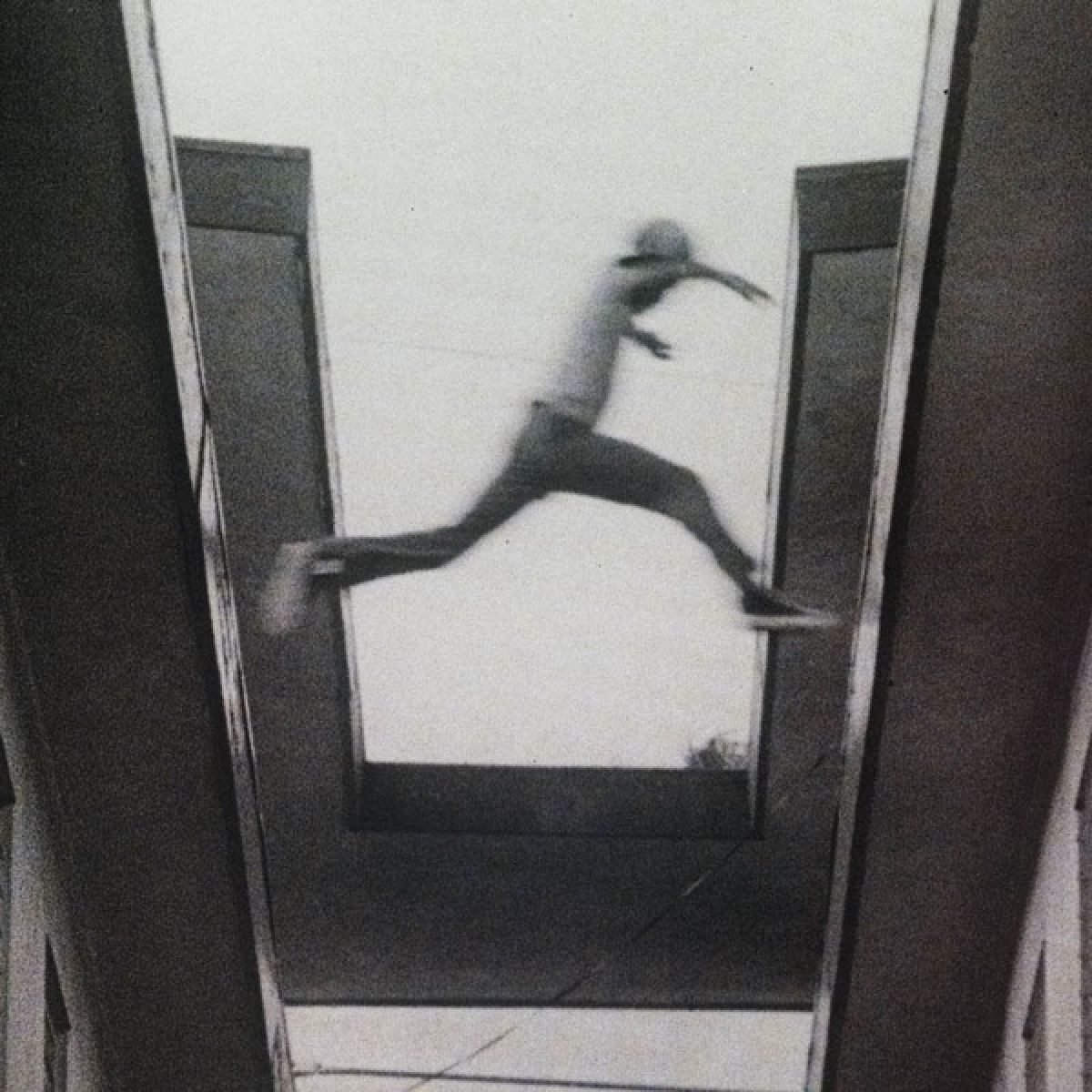 Afbeelding van Mos Def - The Ecstatic