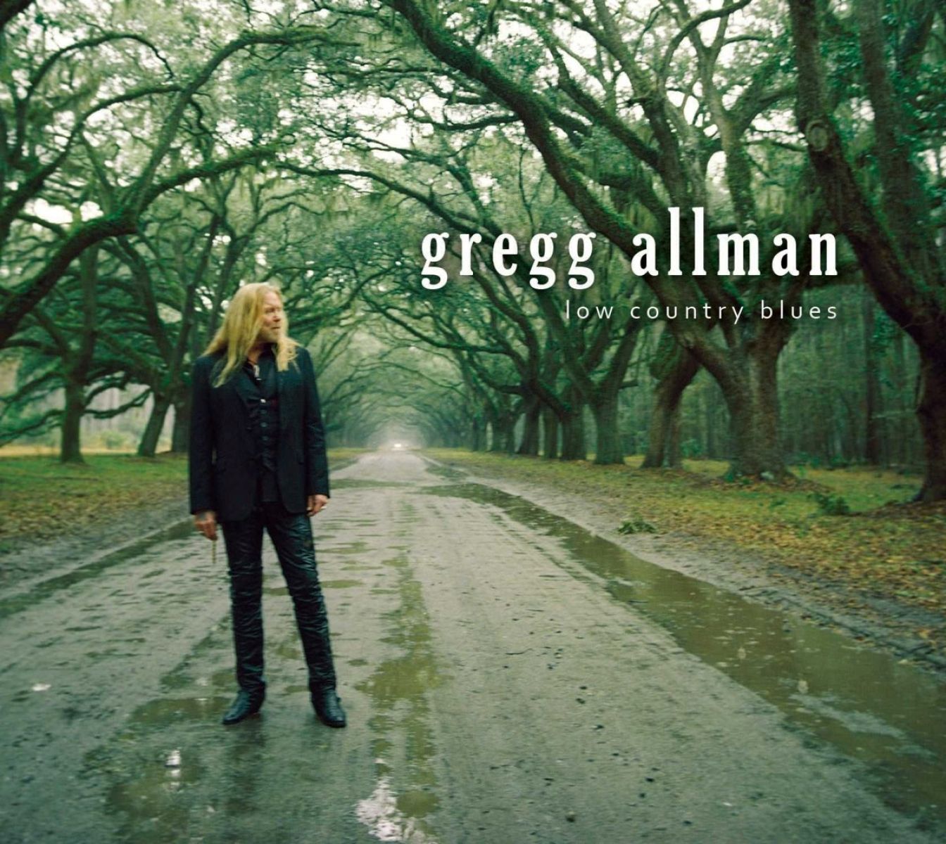 Afbeelding van Gregg Allman - Low Country Blues