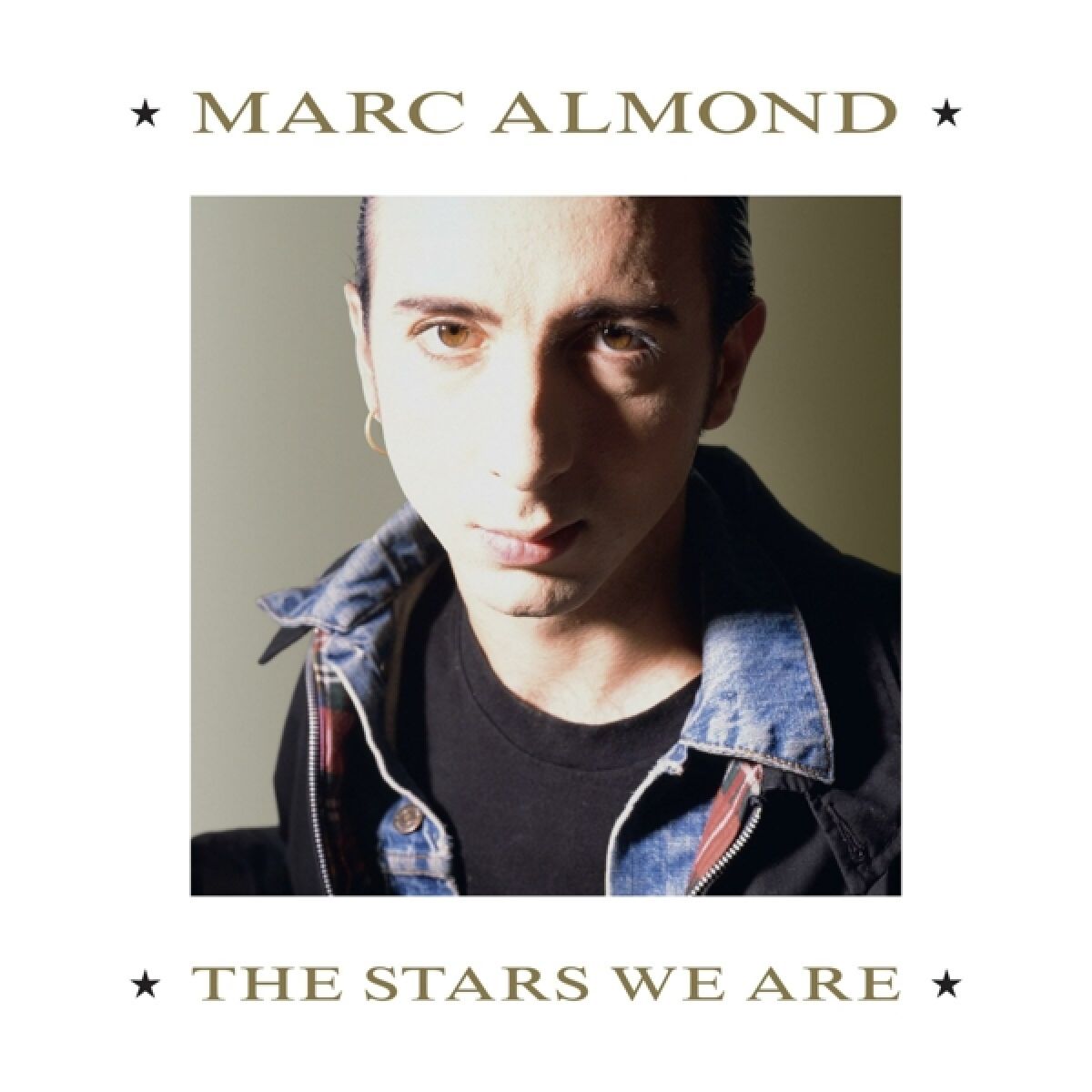 Afbeelding van Marc Almond - The Stars We Are