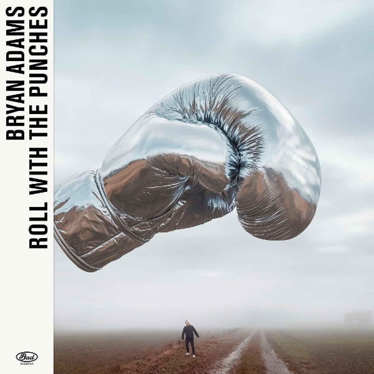 Afbeelding van Bryan Adams - Roll With The Punches