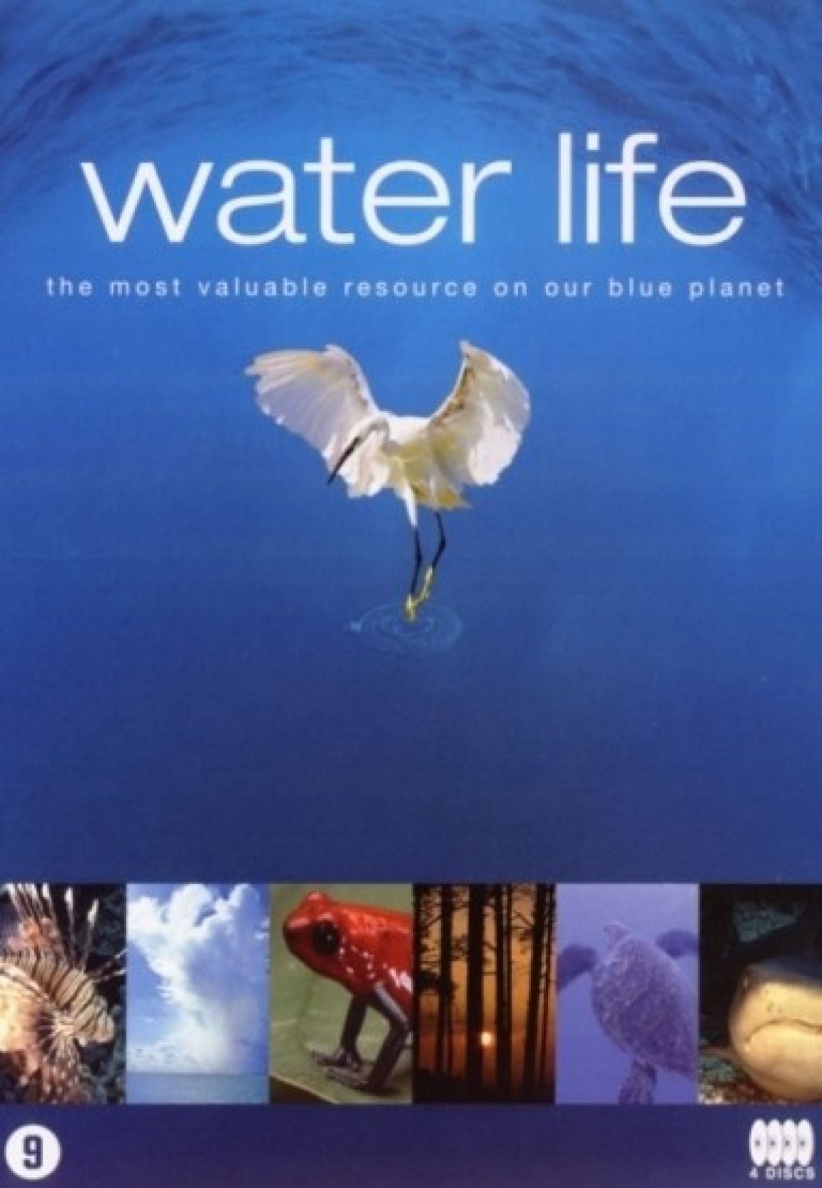 Water life