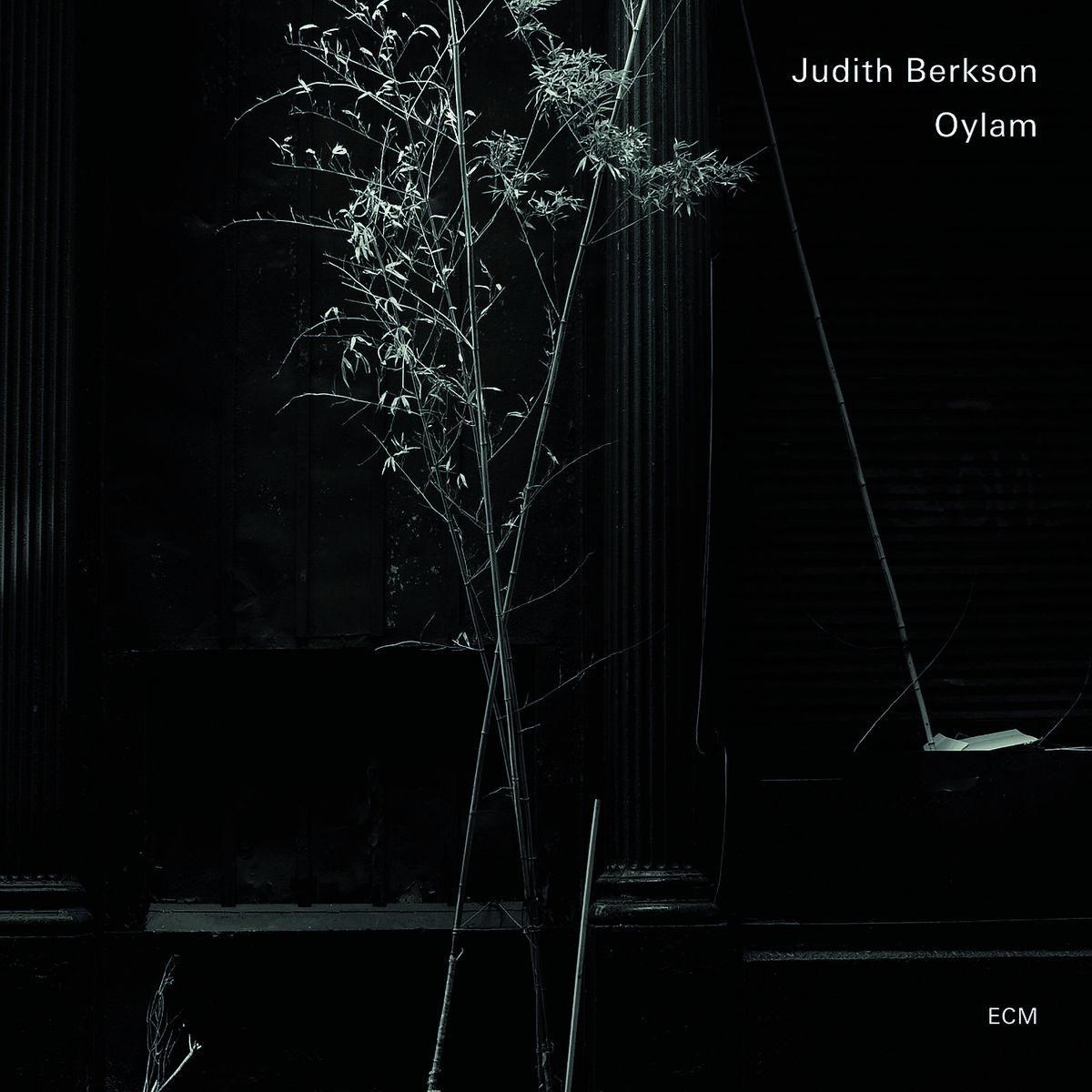 Judith Berkson - Oylam