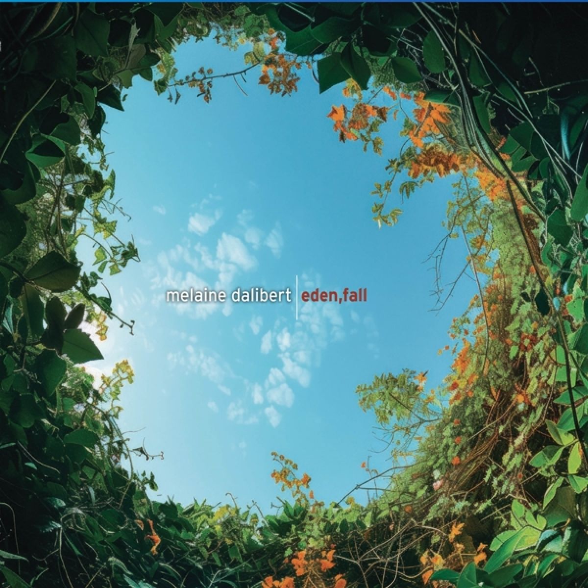 Afbeelding van Melaine Dalibert - Eden Fall