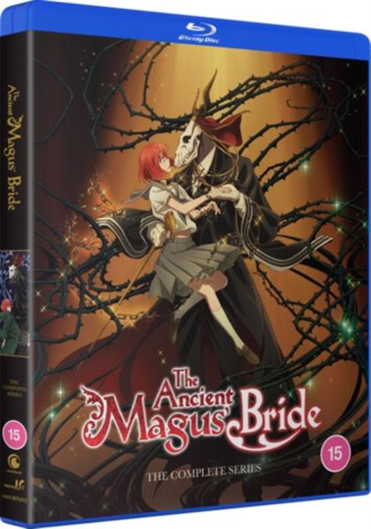 Afbeelding van Ancient Magus' Bride: The Complete Series