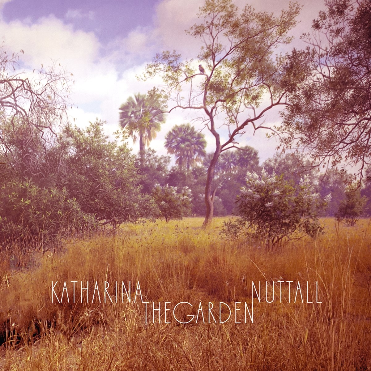 Afbeelding van Katharina Nuttall - The Garden