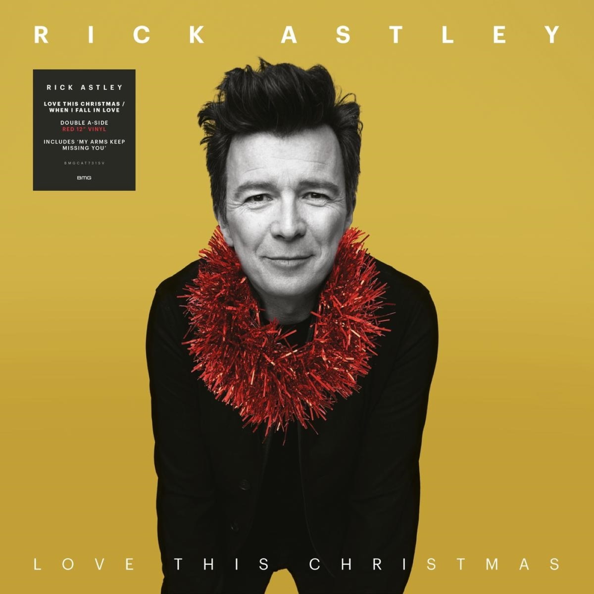 Afbeelding van Rick Astley - Love This Christmas / When I Fall In Love