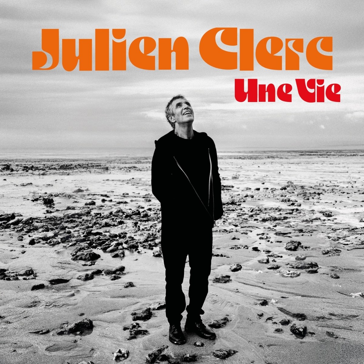 Julien Clerc - Une Vie