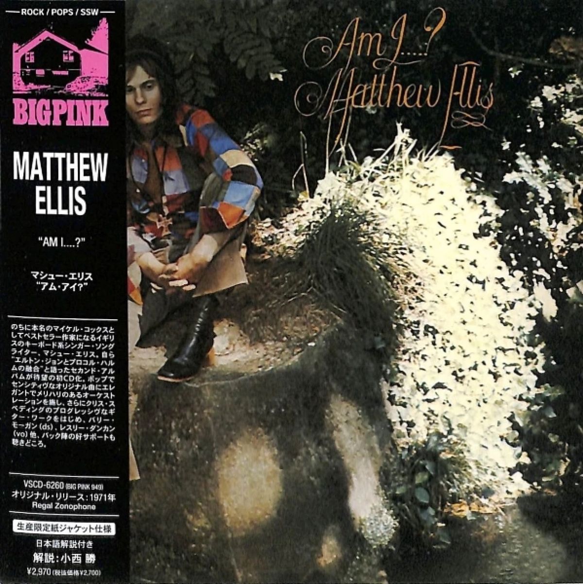 Matthew Ellis - Am I....?