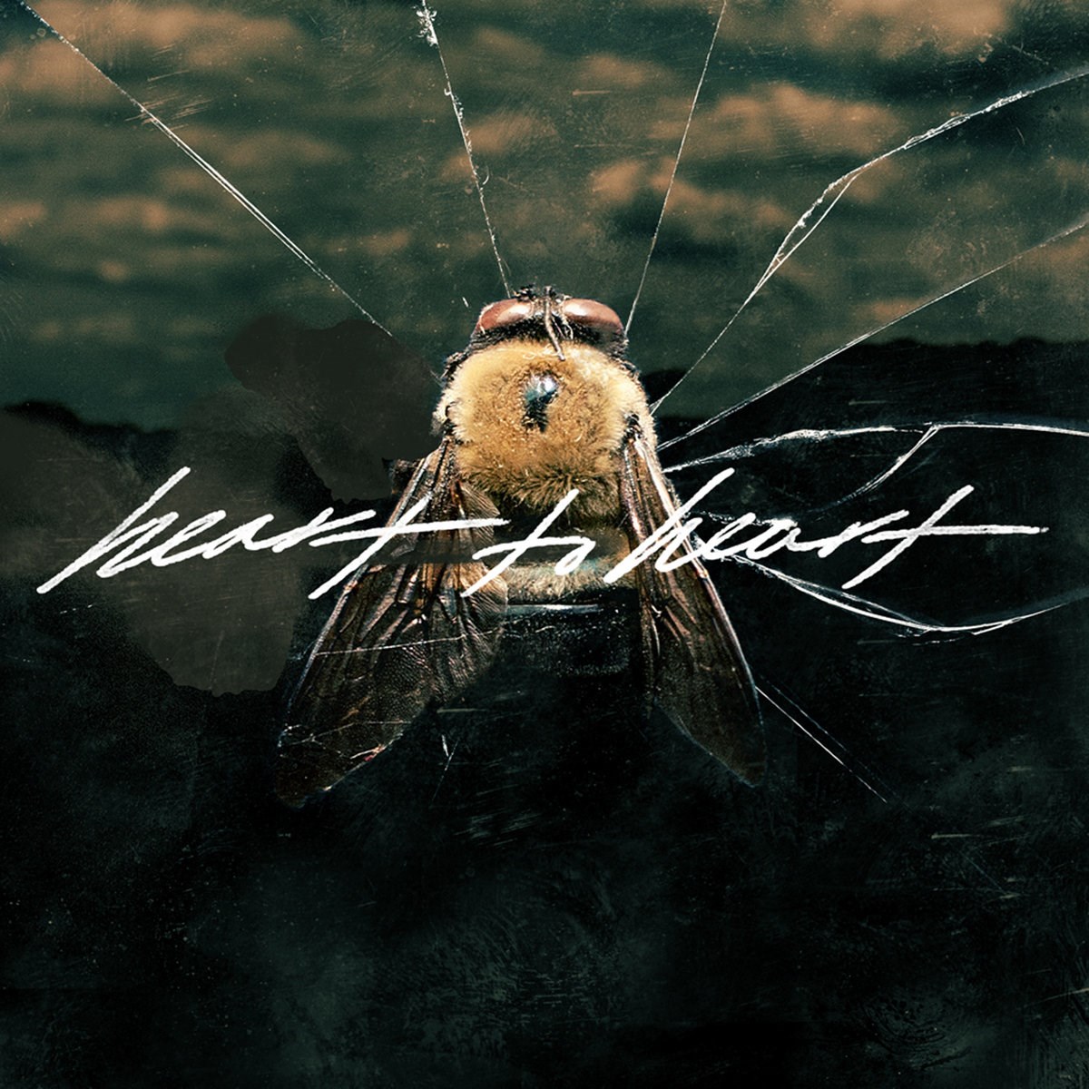 Heart To Heart - Heart To Heart