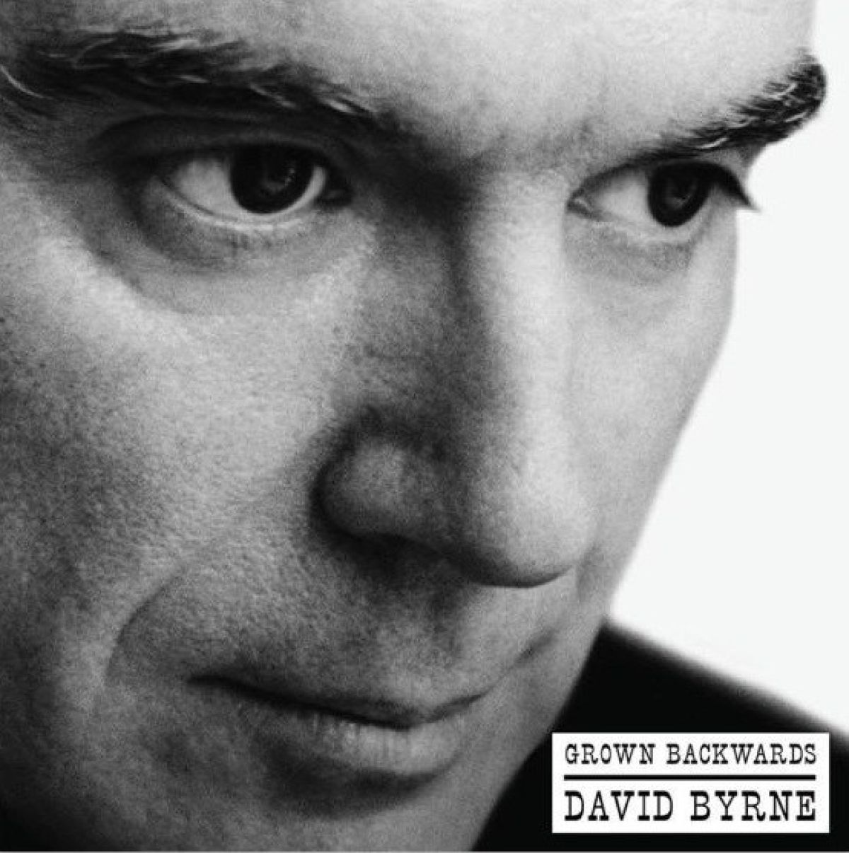 Afbeelding van David Byrne - Grown Backwards