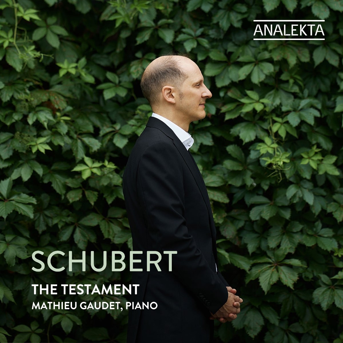 Afbeelding van Mathieu Gaudet - Schubert: The Testament