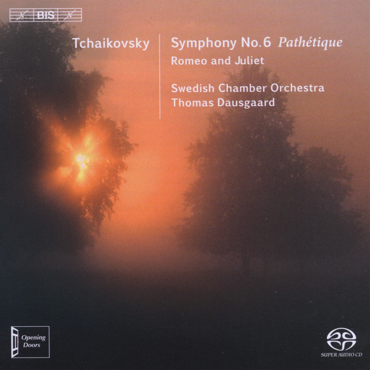 Afbeelding van Swedish Chamber Orchestra, Thomas Dausgaard - Tchaikovsky: Symphony No. 6 In B Minor