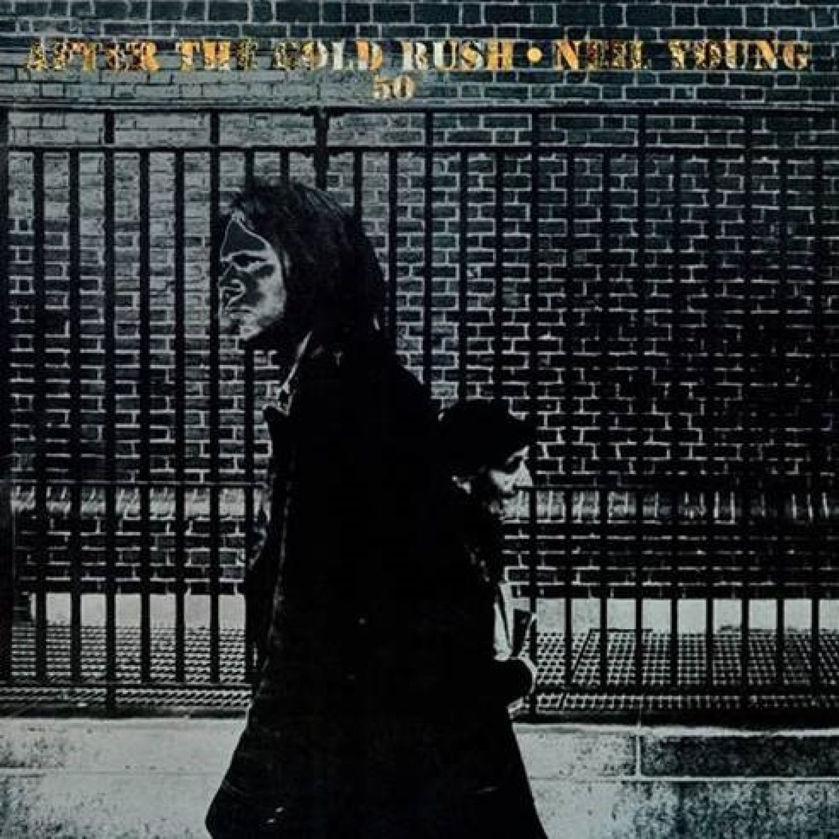 Afbeelding van Neil Young - After The Gold Rush