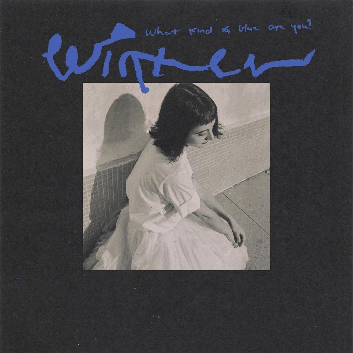 Afbeelding van Winter - What Kind Of Blue Are You?