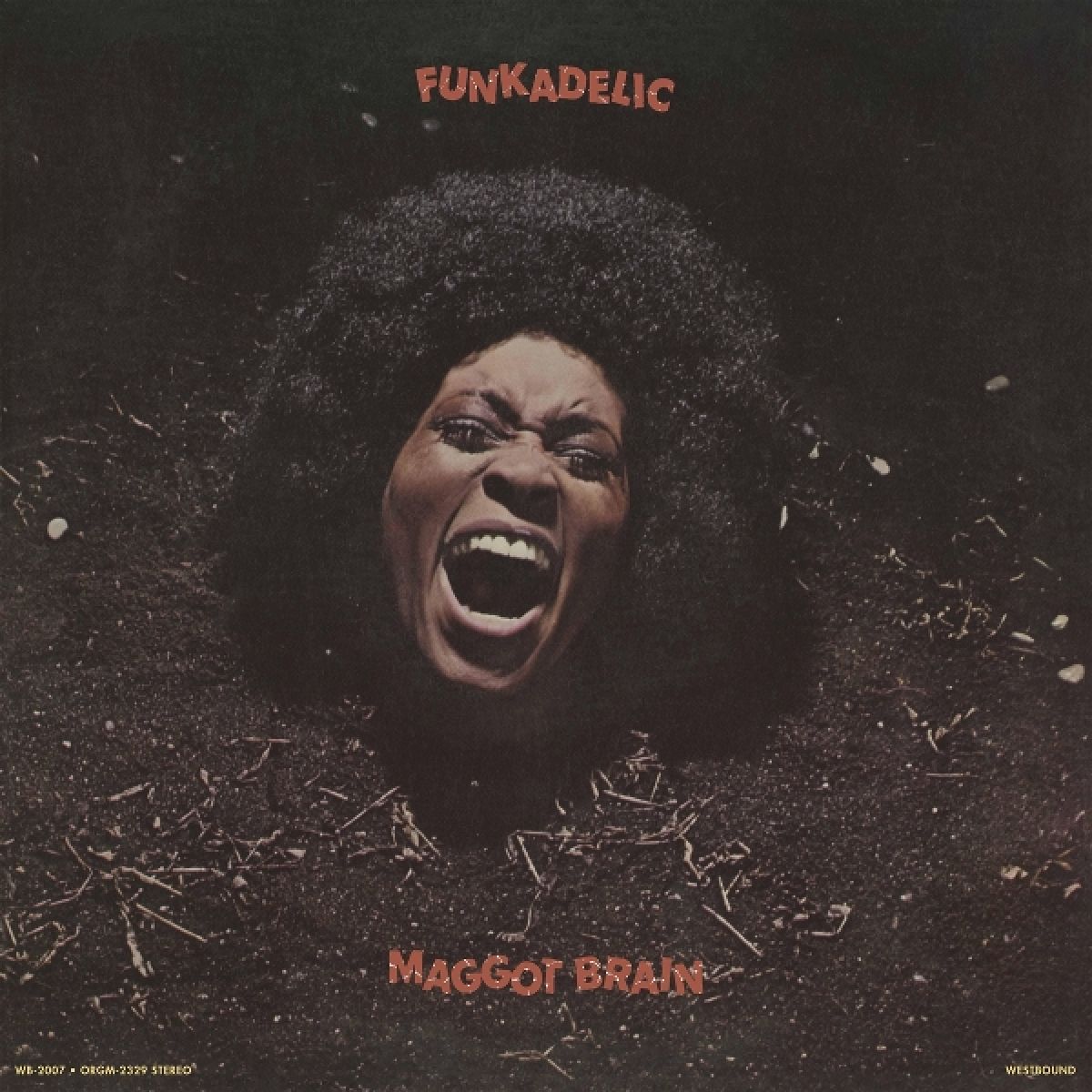 Afbeelding van Funkadelic - Maggot Brain