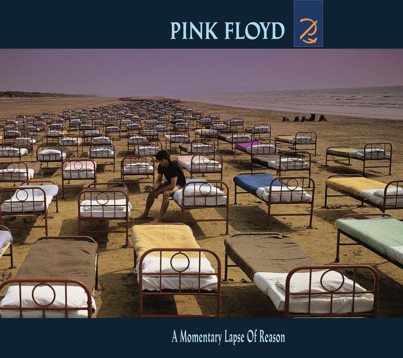 Afbeelding van Pink Floyd - A Momentary Lapse Of Reason