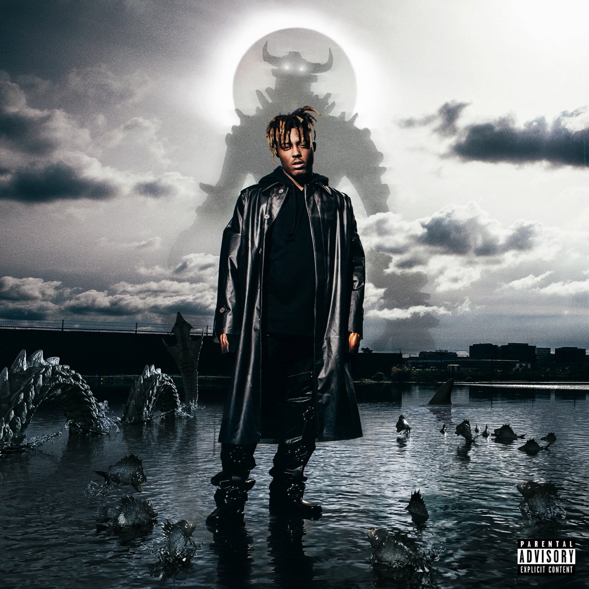 Afbeelding van Juice WRLD - Fighting Demons