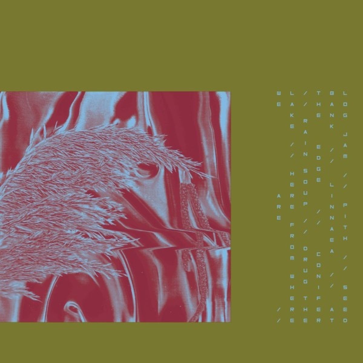Afbeelding van Pariah - Here From Where We Are