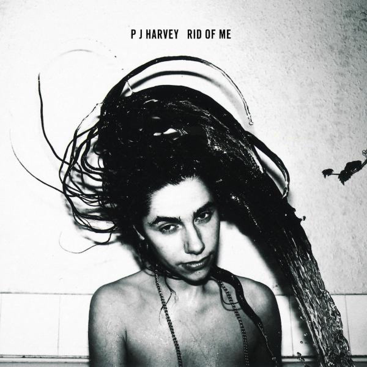 Afbeelding van PJ Harvey - Rid Of Me