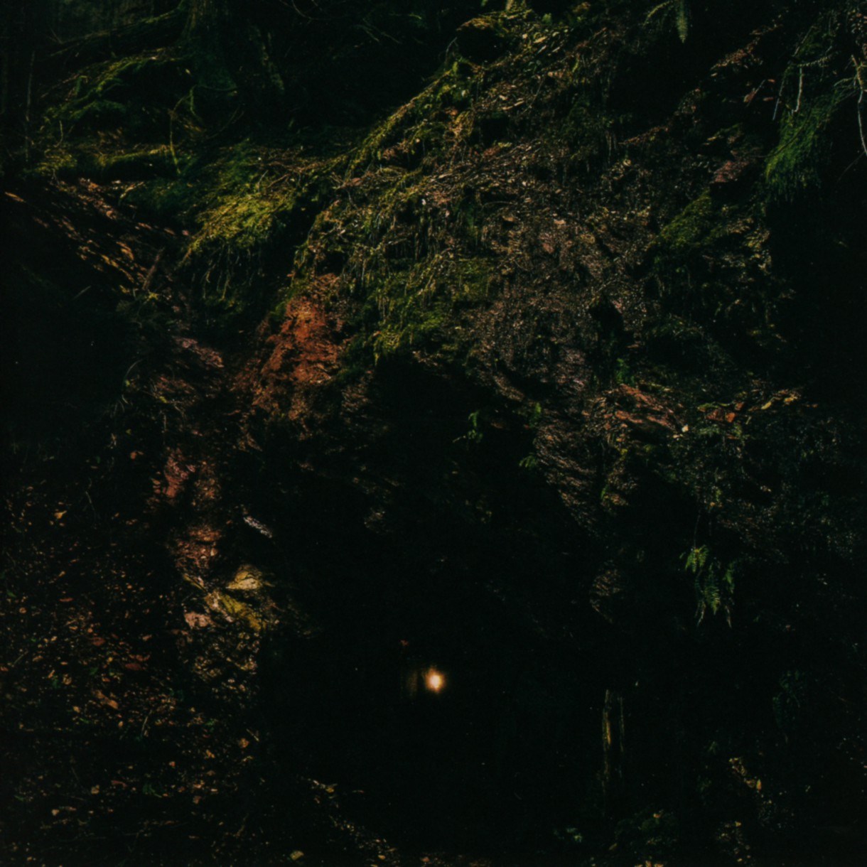 Afbeelding van Baptists - Bloodmines