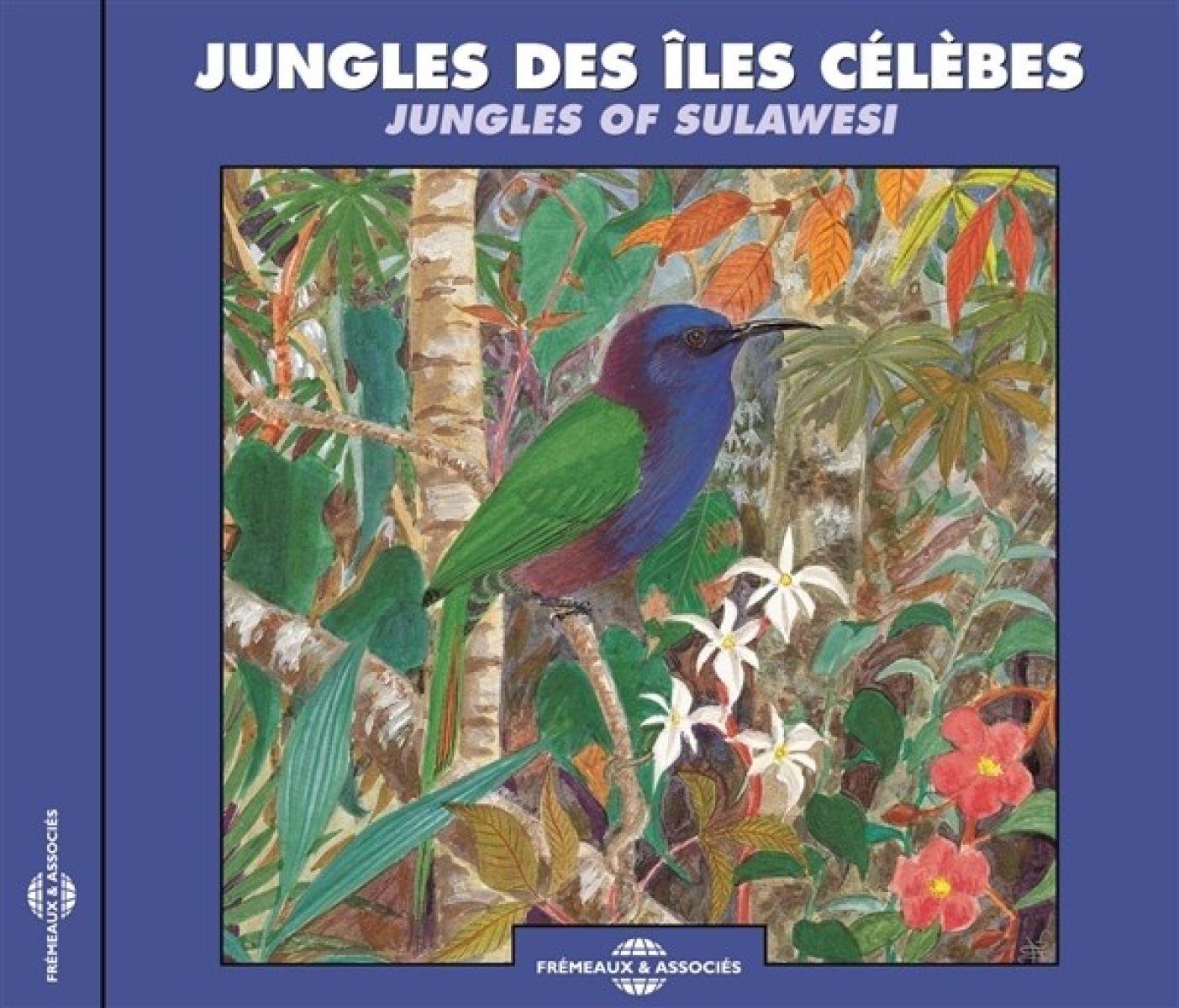 Various Artists - Jungles Of Sulawesi