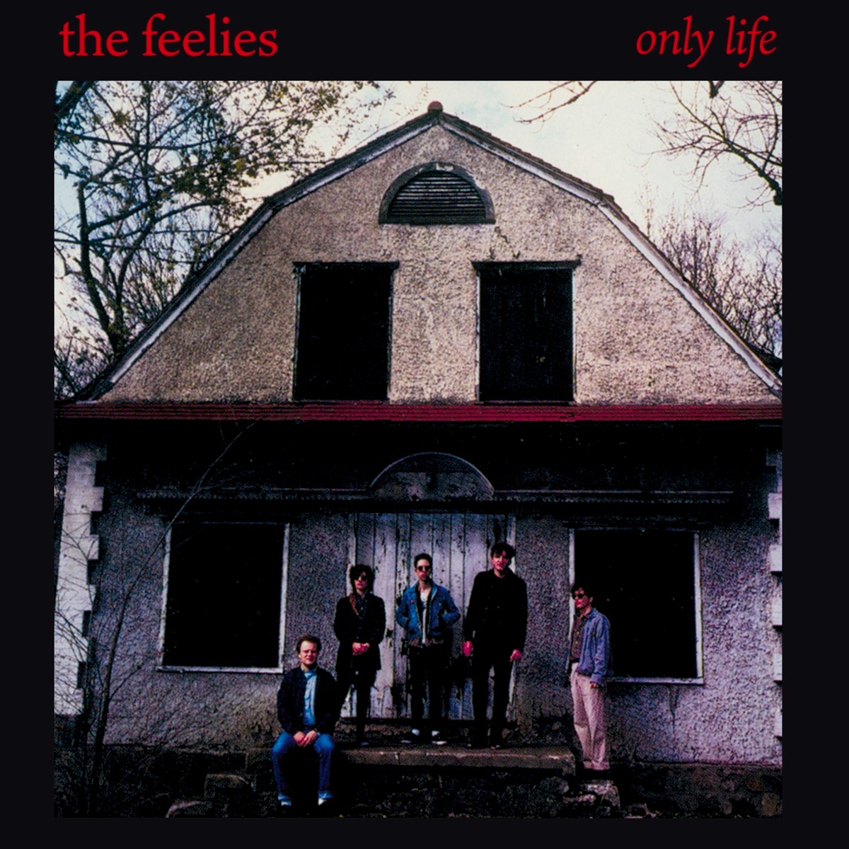 Afbeelding van The Feelies - Only Life