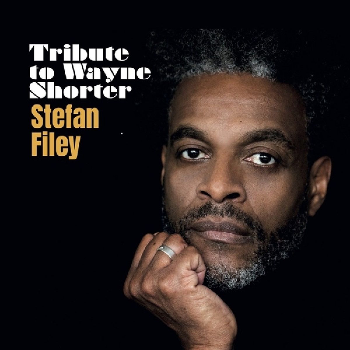 Afbeelding van Stefan Filey - Tribute To Wayne Shorter