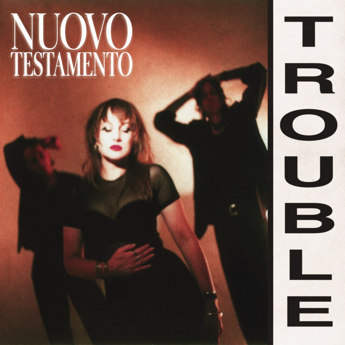 Afbeelding van Nuovo Testamento - Trouble