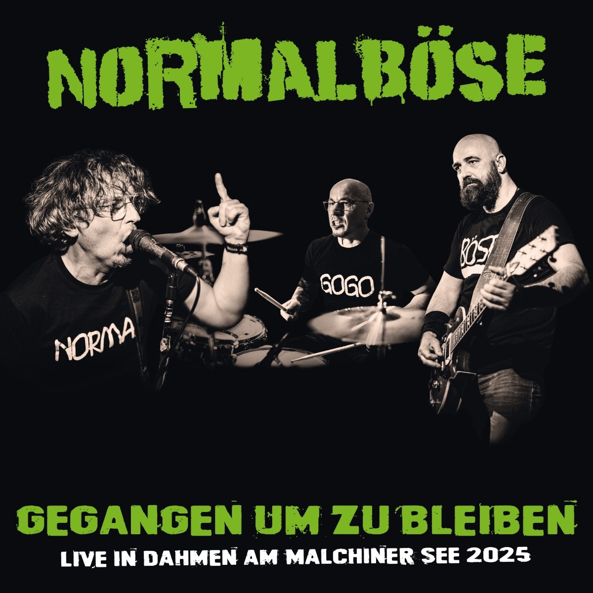 Afbeelding van Normalböse - Gegangen Um Zu Bleiben (Live)