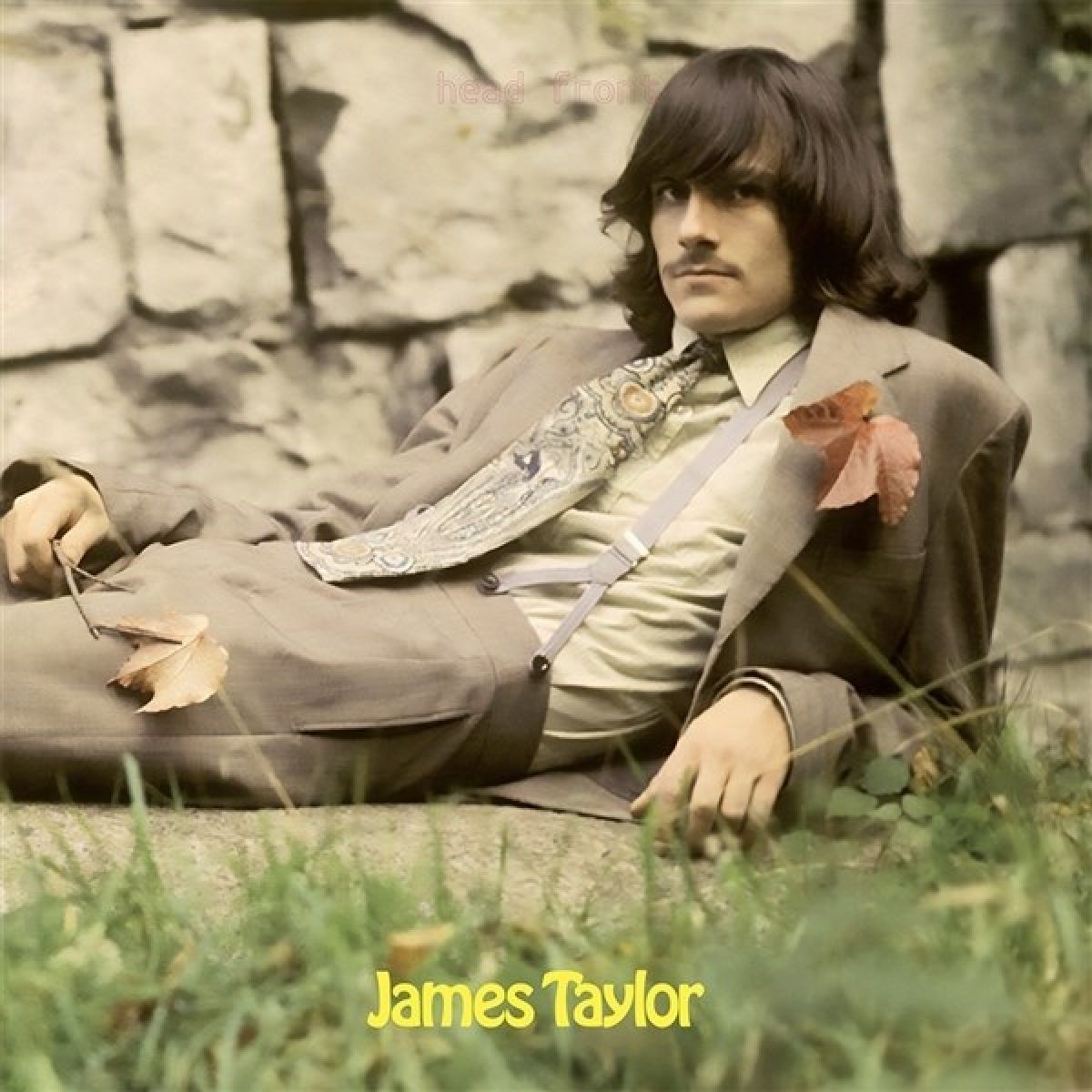 Afbeelding van James Taylor - James Taylor