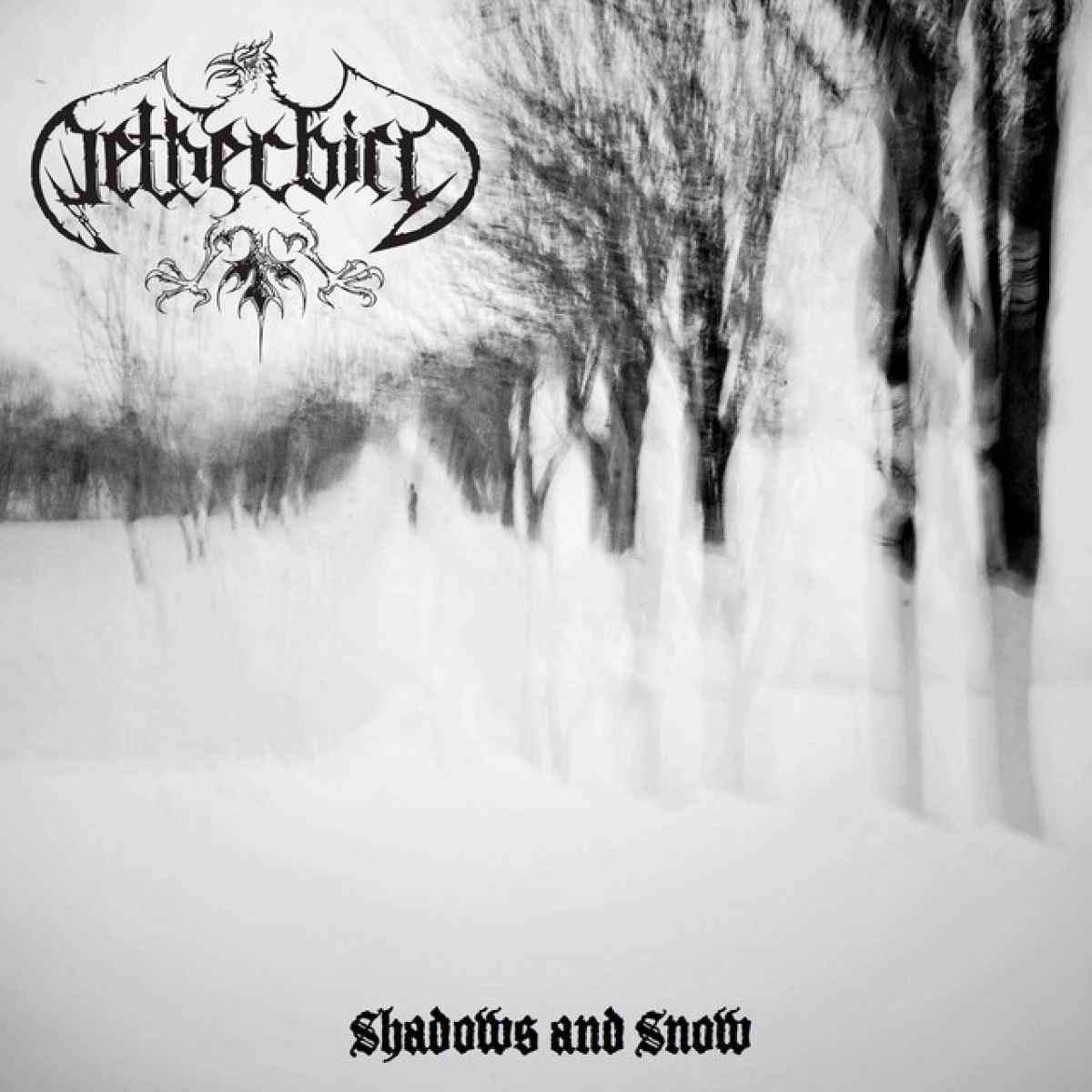 Netherbird - Shadows and Snow