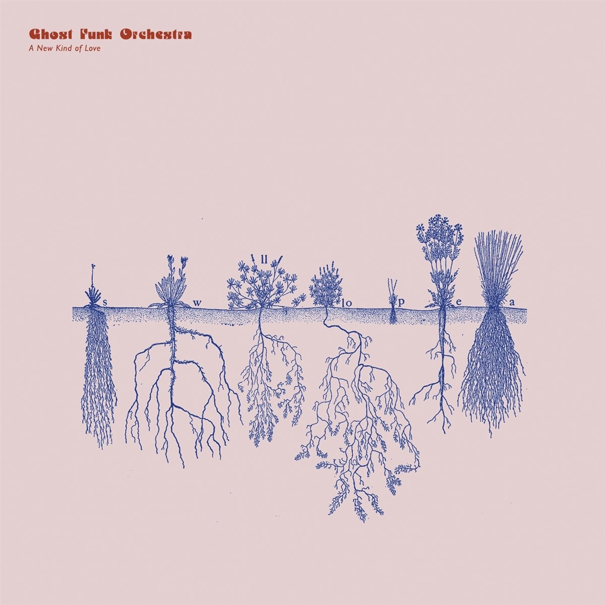 Afbeelding van Ghost Funk Orchestra - A New Kind Of Love