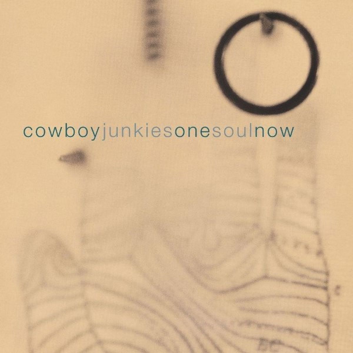 Afbeelding van Cowboy Junkies - One Soul Now
