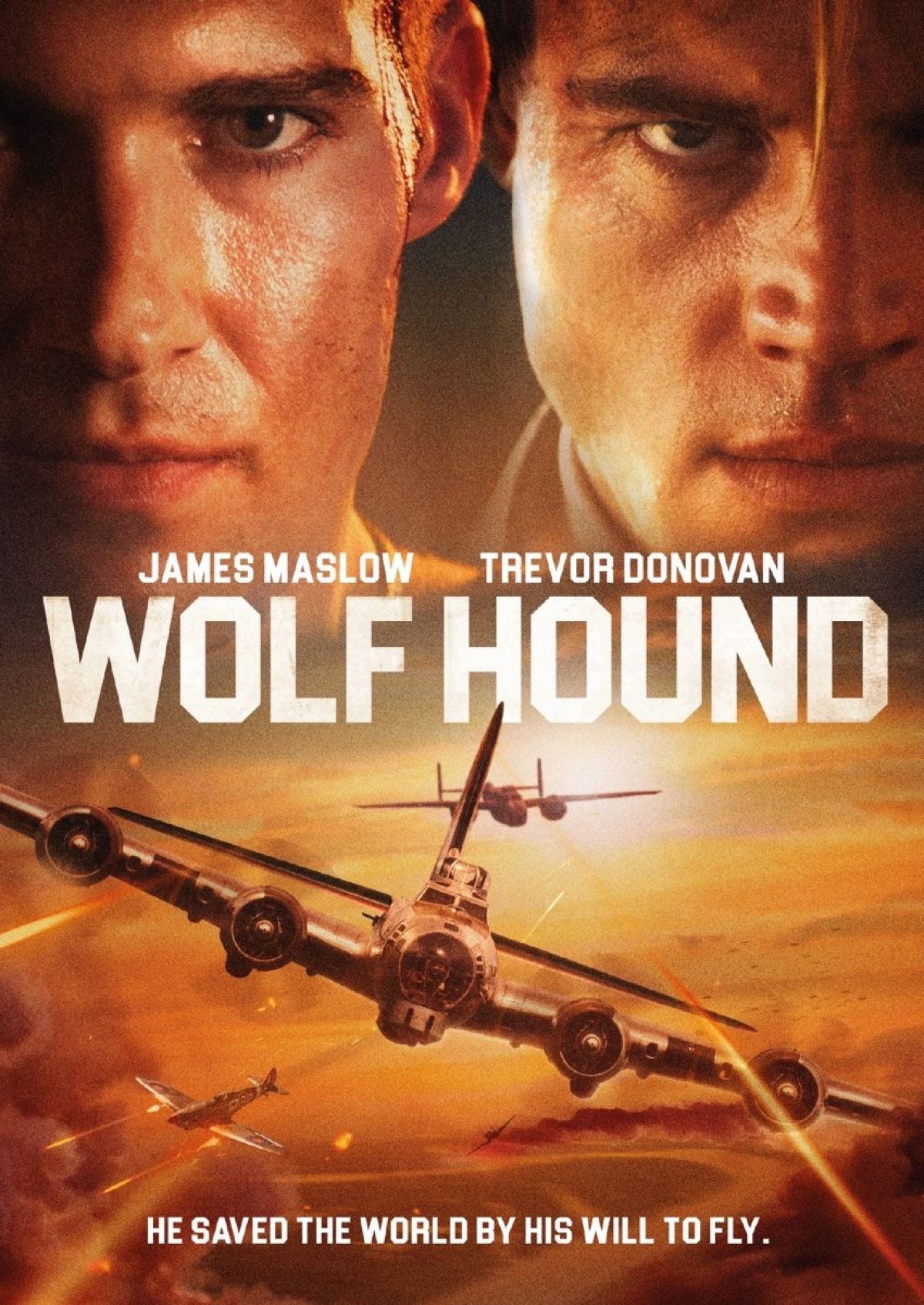 Wolf Hound