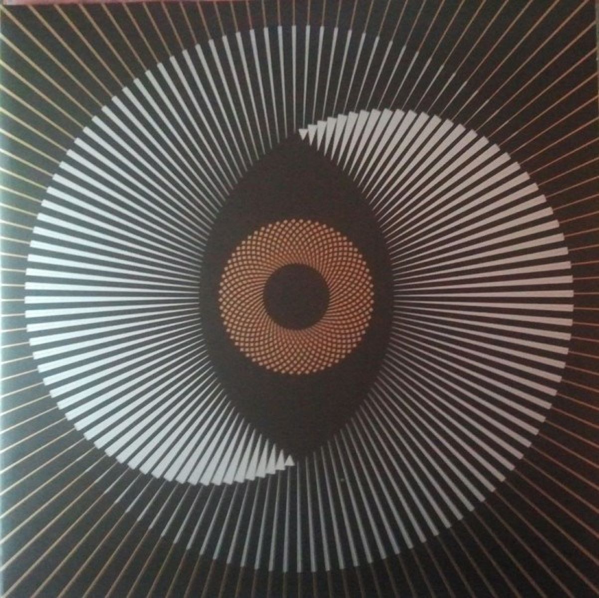 Afbeelding van The Ocean - Holocene
