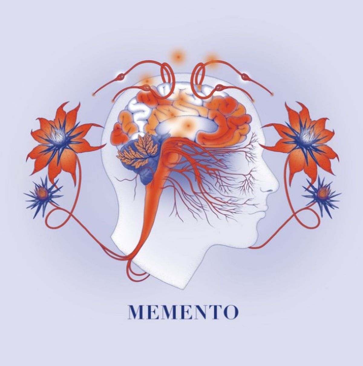 Afbeelding van Kowari - Memento