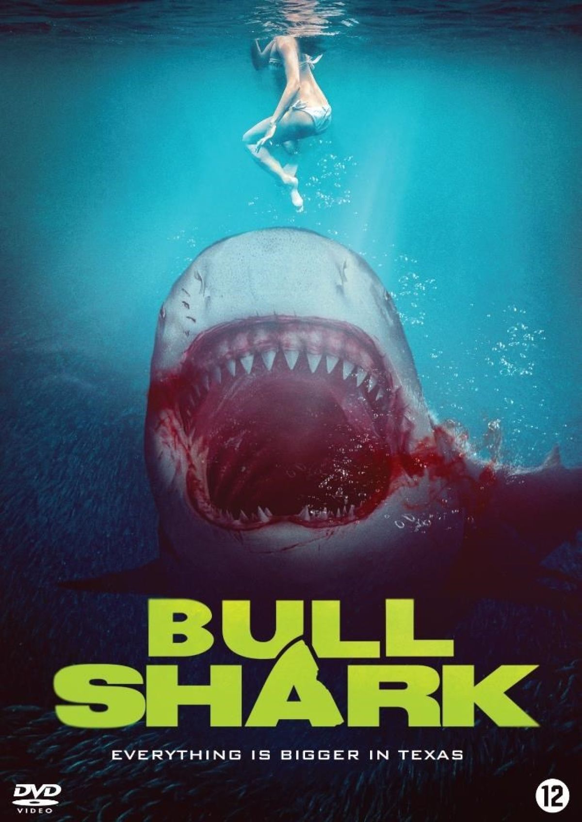 Afbeelding van Bull Shark
