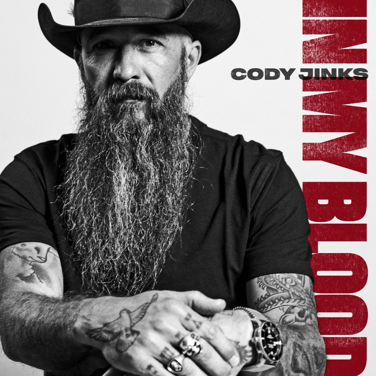 Afbeelding van Cody Jinks - In My Blood