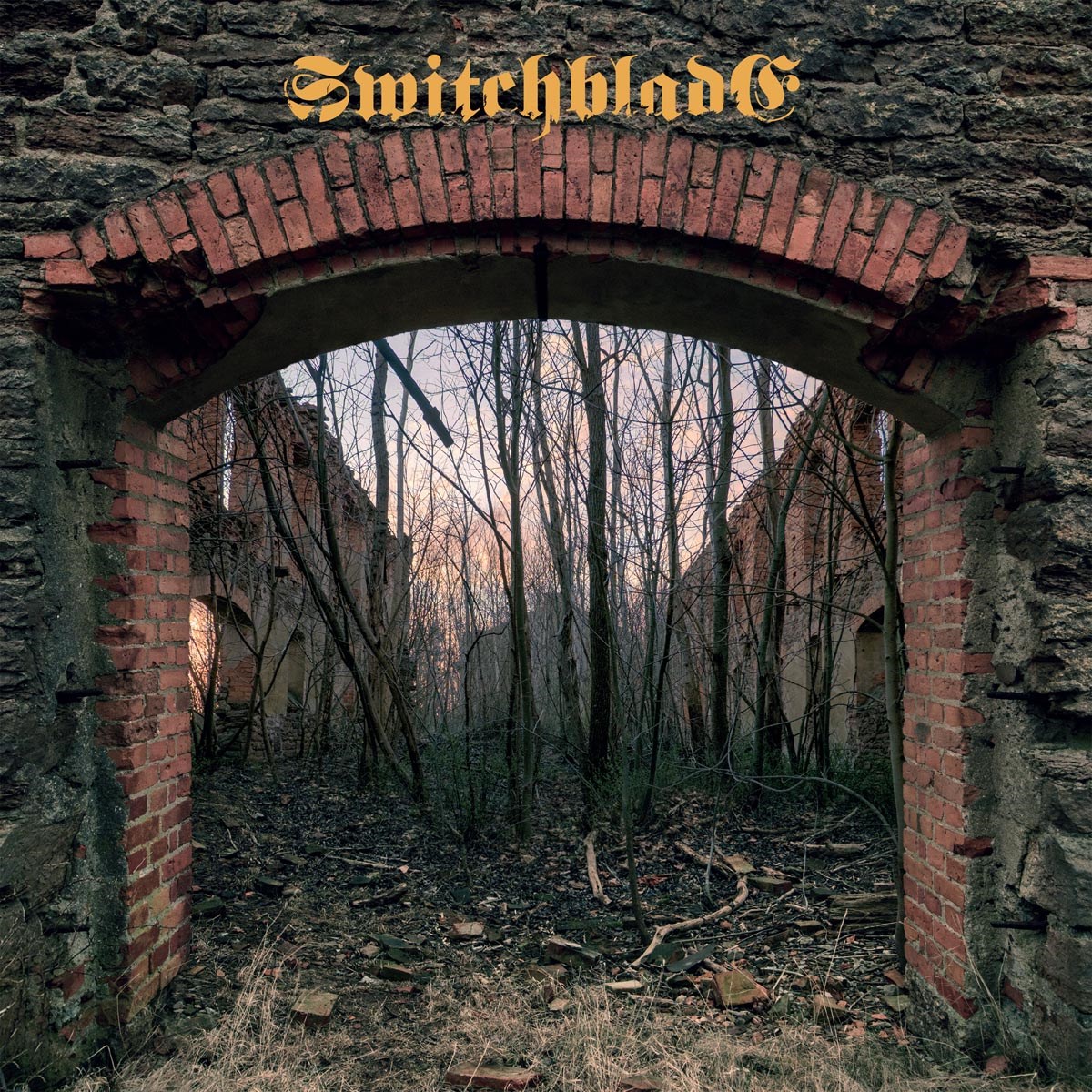 Afbeelding van Switchblade 2016