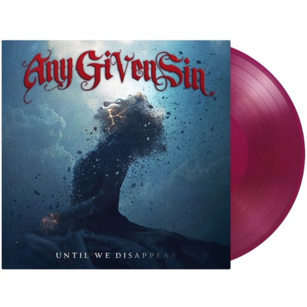 Afbeelding van Until We Disappear