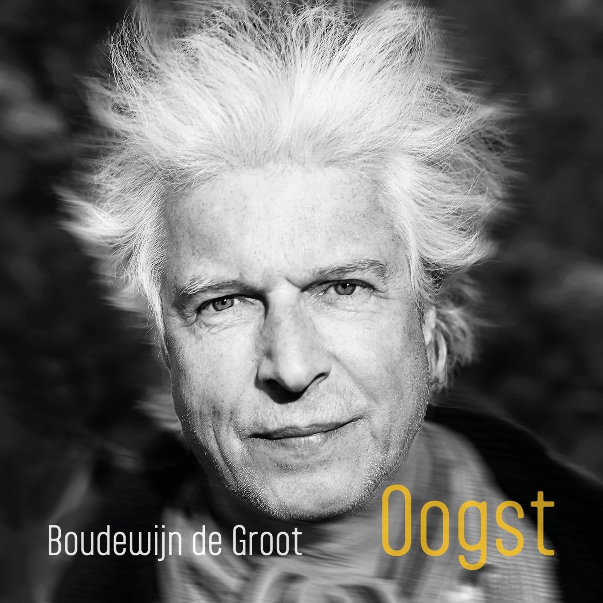 Afbeelding van Boudewijn De Groot - Oogst
