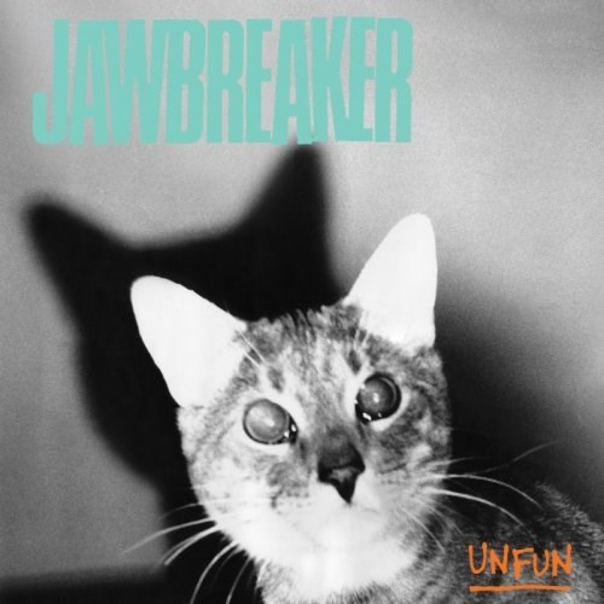 Afbeelding van Unfun