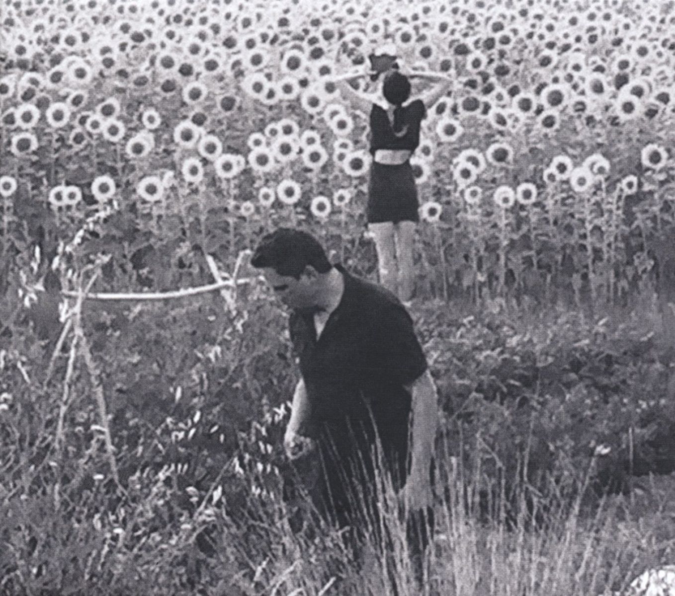 Afbeelding van Jesu/Sun Kil Moon