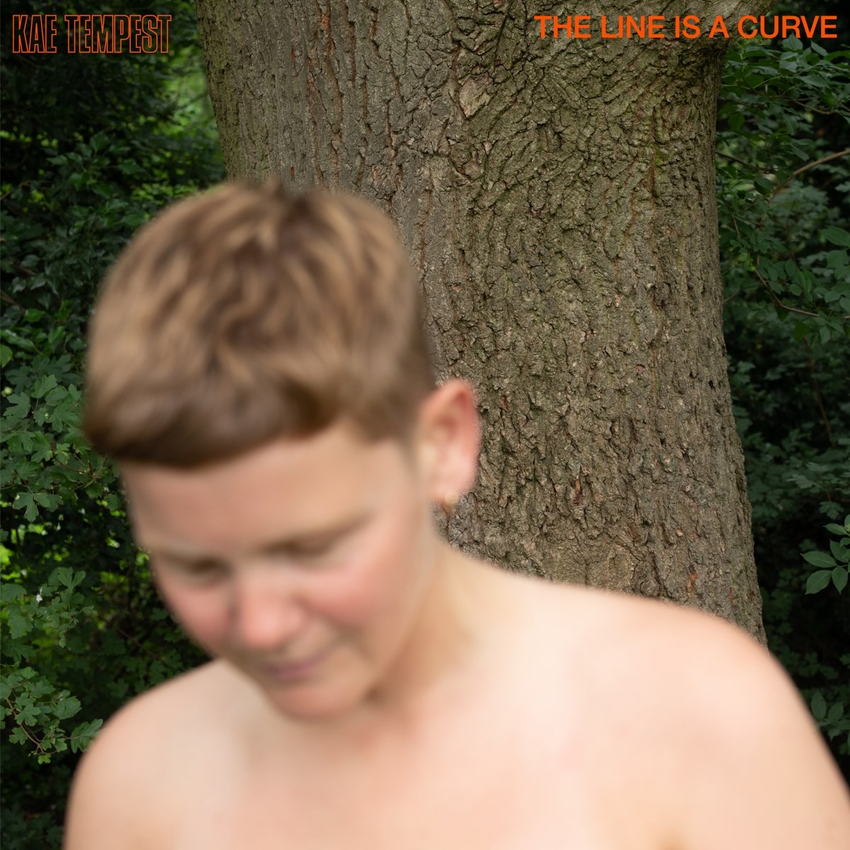 Afbeelding van Kae Tempest - The Line Is A Curve