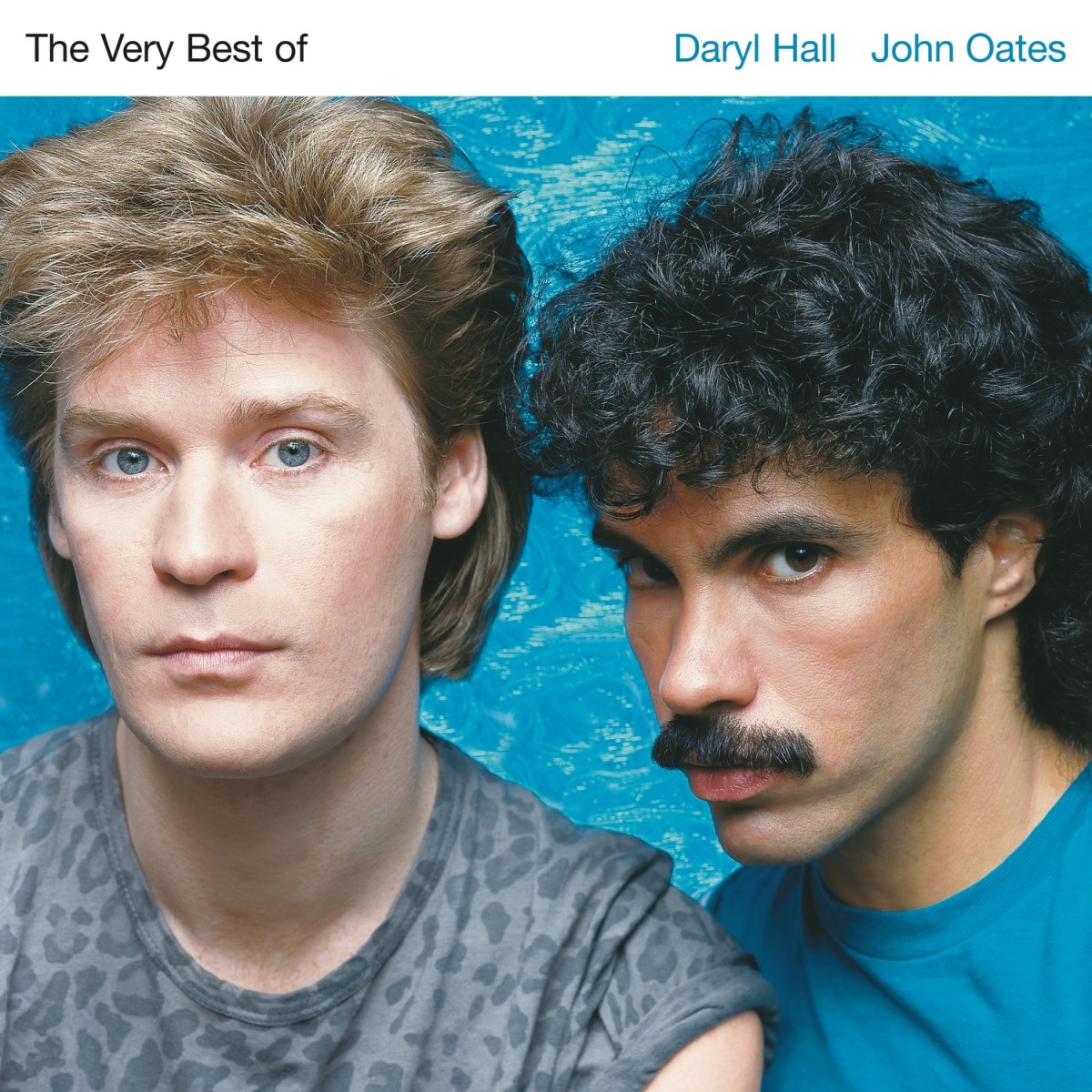 Afbeelding van The Very Best Of Daryl Hall  John Oates