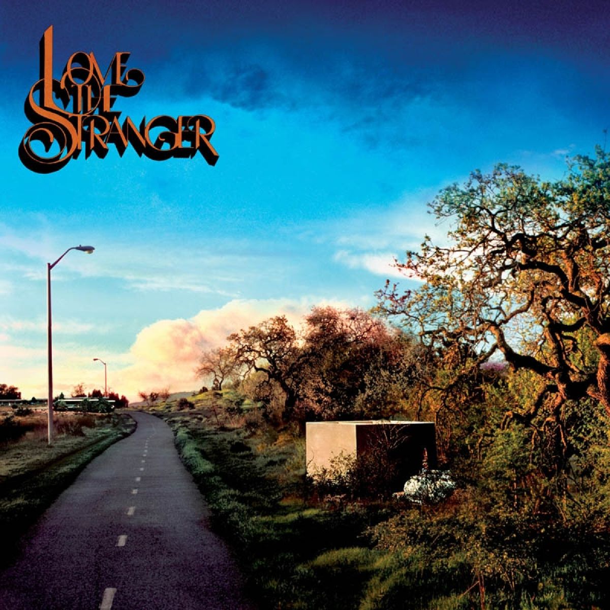 Afbeelding van Friendship - Love The Stranger