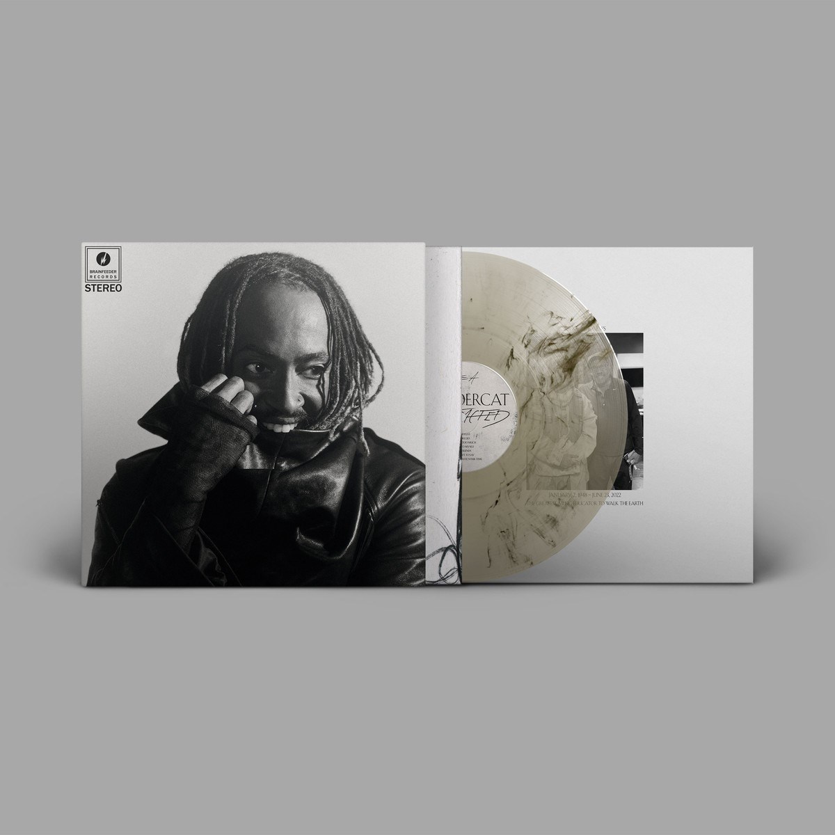 Afbeelding van Thundercat - Distracted