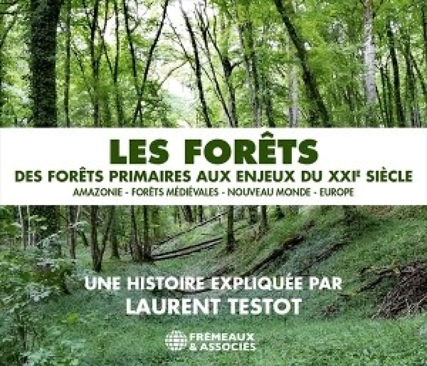 Afbeelding van Laurent Testot - Les Forets- Des Primaires Aux Enjeux Du XXie Siecle
