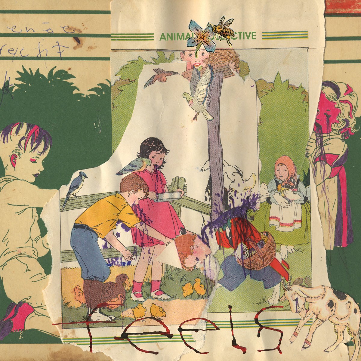 Afbeelding van Animal Collective - Feels