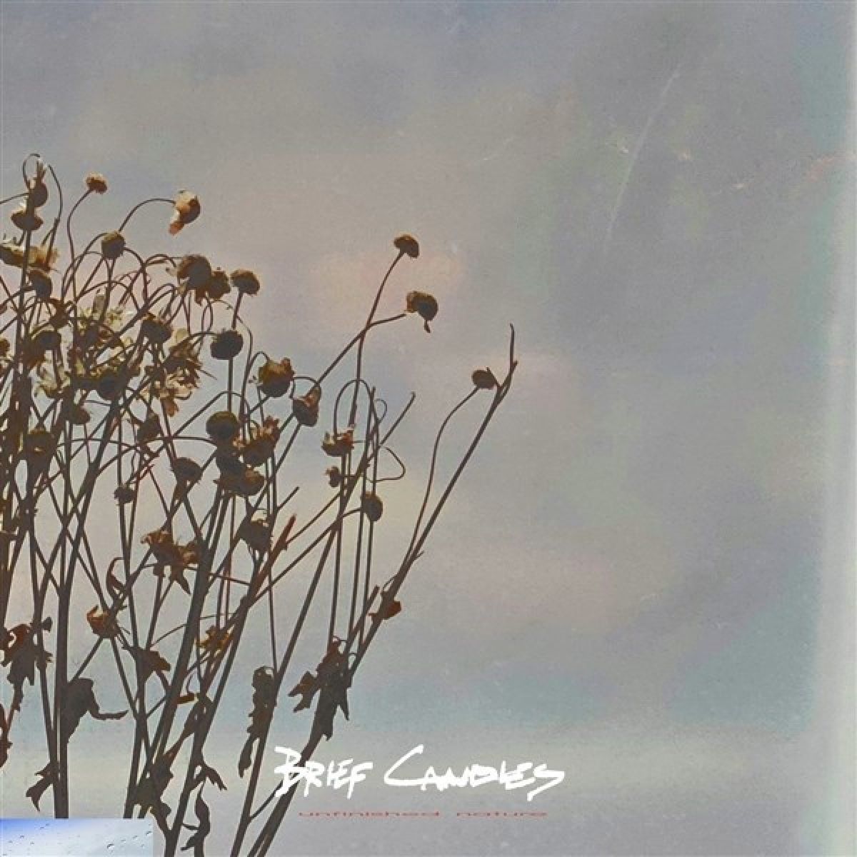 Afbeelding van Brief Candles - Unfinished Nature